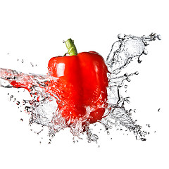 Image showing fresh water splash on red sweet pepper isolated on white