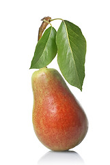 Image showing red pear with leaves isolated on white