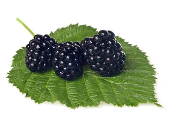 Image showing blackberry on green leaf isolated on white