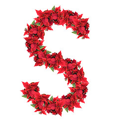 Image showing letter from red christmas flowers isolated on white