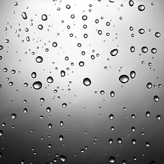 Image showing drops of water on glass