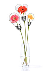 Image showing Bouquet from daisy-gerbera with heads inside lamps isolated on w