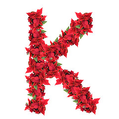 Image showing letter from red christmas flowers isolated on white