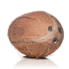 Image showing coconut isolated on white