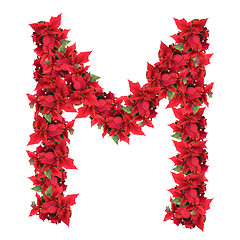 Image showing letter from red christmas flowers isolated on white