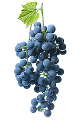 Image showing blue grape with green leaf isolated on white 