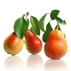 Image showing red pears with leaves isolated on white
