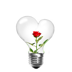 Image showing Natural energy concept. Light bulb in shape of heart with red ro