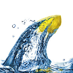 Image showing Fresh lemon fly out from blue water with bubbles isolated on whi