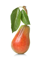 Image showing red pear with leaves isolated on white