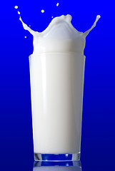 Image showing Milk splash isolated on blue