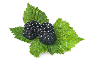 Image showing blackberry with green leaf isolated on white