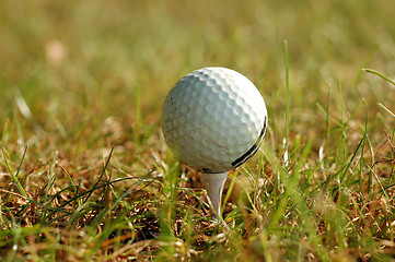 Image showing golf ball in grass