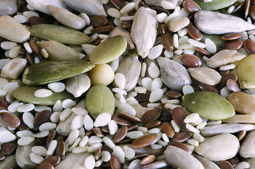 Image showing Seeds