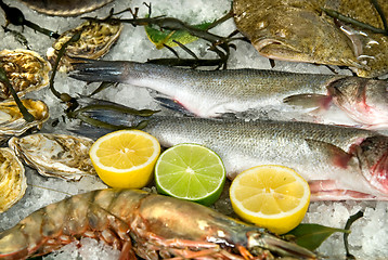 Image showing fresh frozen fish with oysters, lobster and lemons in ice
