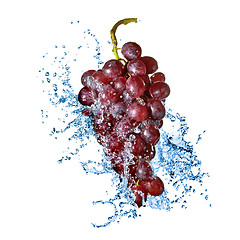 Image showing blue grape with water splash isolated on white