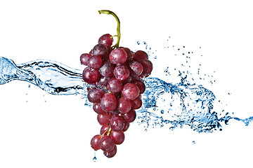 Image showing blue grape with water splash isolated on white