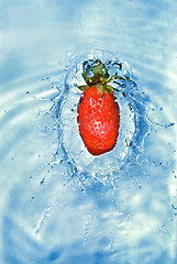 Image showing Fresh strawberry dropped into blue water with splash