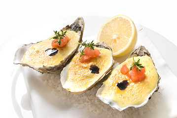 Image showing oysters with sauce and lemon on plate