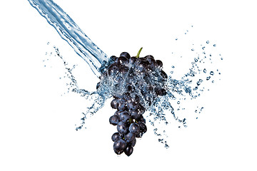 Image showing blue grape with water splash isolated on white