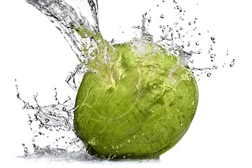 Image showing fresh water splash on coconut isolated on white