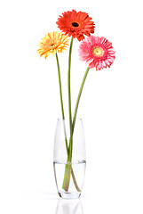 Image showing Bouquet from daisy-gerbera in glass vase isolated on white