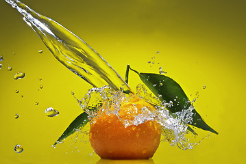 Image showing Tangerine with green leaves and water splash on green background