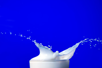 Image showing Milk splash isolated on blue