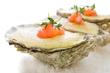 Image showing oysters with sauce