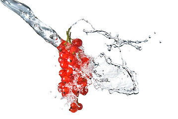 Image showing redcurrant and water drops isolated on white