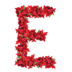 Image showing letter from red christmas flowers isolated on white