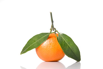 Image showing Tangerine with green leaves isolated on white