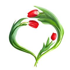 Image showing heart from red tulips isolated on white