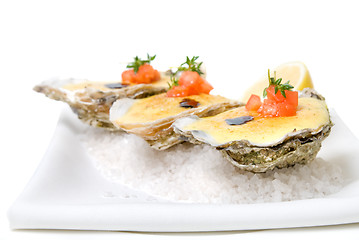 Image showing oysters with sauce