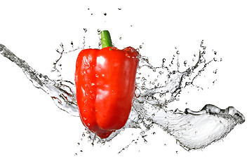 Image showing fresh water splash on red pepper isolated on white