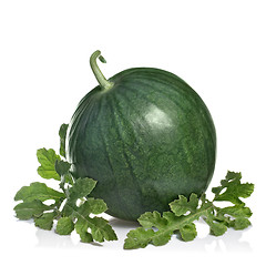 Image showing watermelon with leaves isolated on white