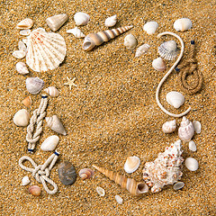 Image showing frame from various shells on sand