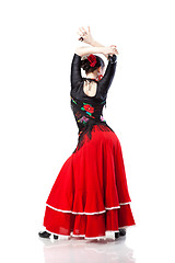 Image showing young woman dancing flamenco from back isolated on white