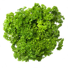 Image showing Bouquet of parsley isolated on white