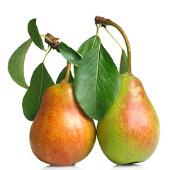 Image showing pears with leaves isolated on white