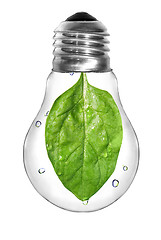 Image showing Natural energy concept. Light bulb with green spinach leaf insid