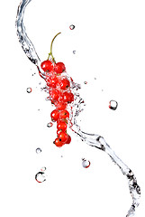 Image showing redcurrant and water drops isolated on white