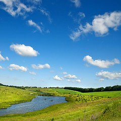 Image showing Summer landscape