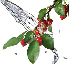 Image showing red cherry with leaves and water splash isolated on white