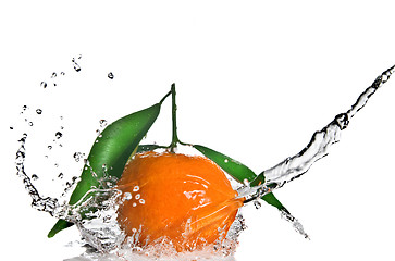 Image showing Tangerine with green leaves and water splash isolated on white