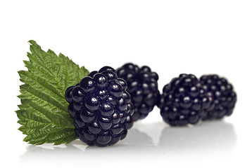 Image showing blackberry with green leaf isolated on white