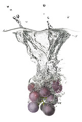 Image showing blue grape dropped into water with splash isolated on white