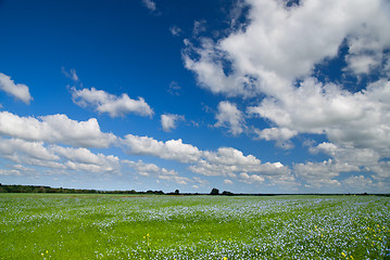 Image showing Summer landscape