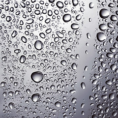 Image showing drops of water on glass
