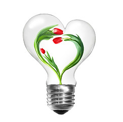 Image showing Natural energy concept. Light bulb with tulips with shape of hea